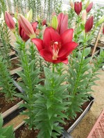 [5658 VZ H07 5609-06 No01.JPG]